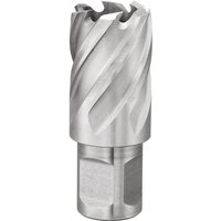 Lochschneider mit 25 mm Weldon-Aufsatz Fervi f011/25 von FERVI