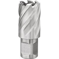 Lochschneider mit 45 mm Weldon-Aufsatz Fervi f011/45 Lochschneider mit 45 mm Weldon-Aufsatz Fervi f011/45 von FERVI