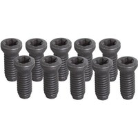 Fervi - Satz mit 10 Schrauben T15 - M45 kv450 x utensile tornio von FERVI