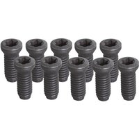 Fervi - Satz mit 10 T15-M3-Schrauben kv200 x utensile tornio von FERVI