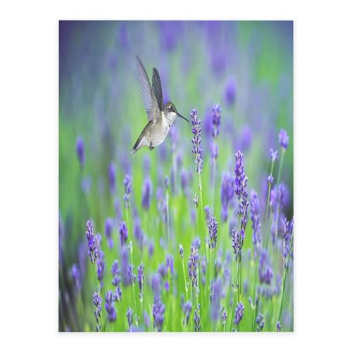 Dekorative selbstklebende Vinylbögen für glatte Oberflächen, Vögel Lavendelblüten, Kristallaufkleber, wasserdichte Aufkleber für Heimdekoration, Abzieh-Stick-Tapete für Schränke, Arbeitsplatten von FEYUNYAN