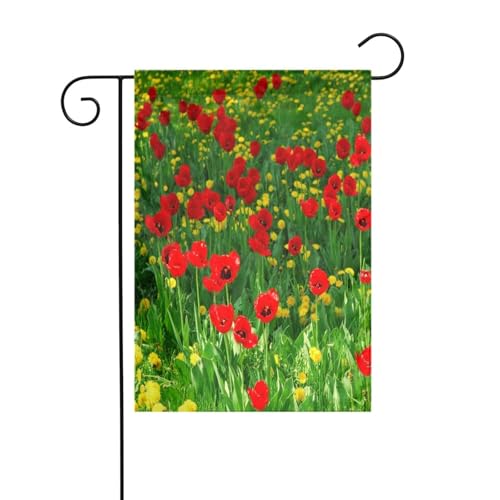 FEYUNYAN Doppelseitige Gartenflaggen, 45 x 30 cm, rote Mohnfeldfarm, lebendige Outdoor-Hofdekoration für Terrasse, Rasen, alle Jahreszeiten, langlebige Polyester-Flagge, wetterfest, dekoratives Banner FEYUNYAN Doppelseitige Gartenflaggen, 45 x 30 cm, rote Mohnfeldfarm, lebendige Outdoor-Hofdekoration für Terrasse, Rasen, alle Jahreszeiten, langlebige Polyester-Flagge, wetterfest, dekoratives Banner von FEYUNYAN