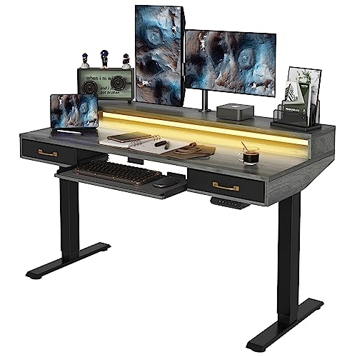 FEZIBO Stehtisch mit 2 Schubladen & Tastaturablage, 120 x 60 cm Sitz-Steh-Schreibtisch mit Monitorständer & LED-Streifen, Rustikal Grau von FEZIBO