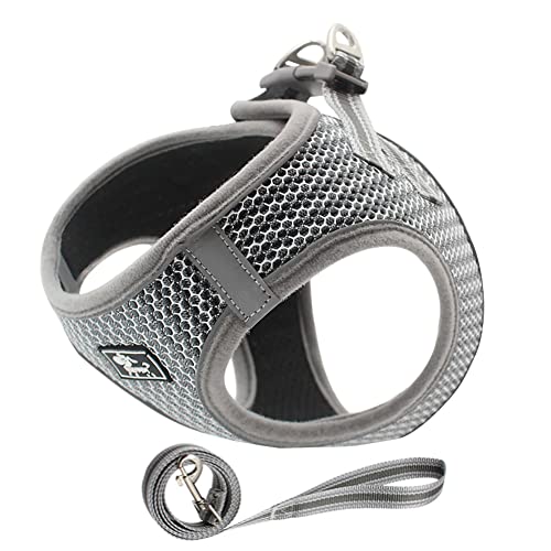 FEimaX Hundegeschirr mit Leine Verstellbare Weich Mesh Welpengeschirr Reflektierende Anti Zug Kleine Mittele Hunde Geschirr Katzen Weste Fluchtsicher für Gehen FEimaX Hundegeschirr mit Leine Verstellbare Weich Mesh Welpengeschirr Reflektierende Anti Zug Kleine Mittele Hunde Geschirr Katzen Weste Fluchtsicher für Gehen von FEimaX