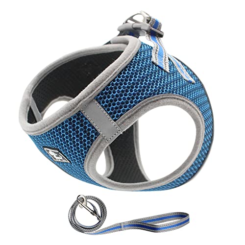 FEimaX Hundegeschirr mit Leine Verstellbare Weich Mesh Welpengeschirr Reflektierende Anti Zug Kleine Mittele Hunde Geschirr Katzen Weste Fluchtsicher für Gehen FEimaX Hundegeschirr mit Leine Verstellbare Weich Mesh Welpengeschirr Reflektierende Anti Zug Kleine Mittele Hunde Geschirr Katzen Weste Fluchtsicher für Gehen von FEimaX