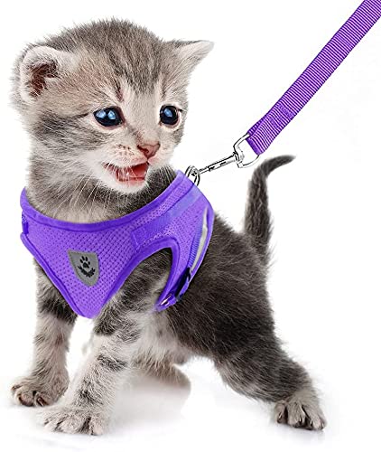 FEimaX Katzengeschirr Geschirr mit Leine Ausbruchsicher Weich Mesh Welpengeschirr Reflektierend Verstellbar Katzen Weste für Kleine Hunde Katzen Chihuahua FEimaX Katzengeschirr Geschirr mit Leine Ausbruchsicher Weich Mesh Welpengeschirr Reflektierend Verstellbar Katzen Weste für Kleine Hunde Katzen Chihuahua von FEimaX