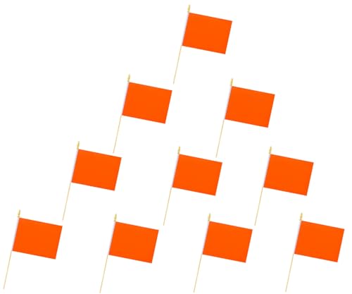 Dekorative Handflaggen, mehrfarbige Packung mit Holzstangen, 14 x 21 cm, hochwertige Flagge, 10 Stück (Orange) von FFILL