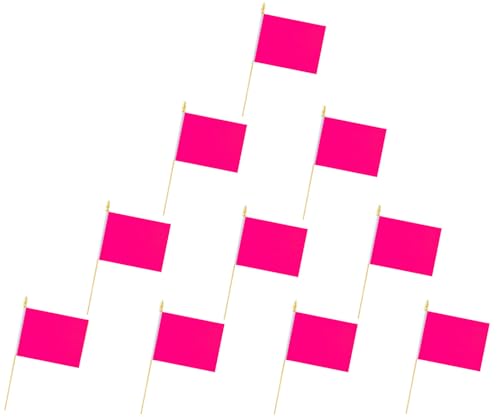 Dekorative Handflaggen, mehrfarbige Packung mit Holzstangen, 14 x 21 cm, hochwertige Flagge, 10 Stück (Rosa) von FFILL