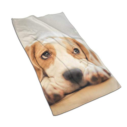 FFLSDR Badetuch Beagle-Hund-Hunde-Sobaka-Big Beach Towel Ultra Durable Hotel Handtücher Badezimmer Reise Waschlappen Gesichtstuch 40 X 70 cm von FFLSDR