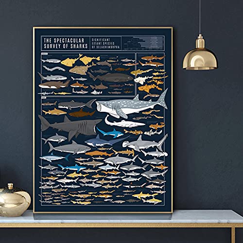 FFLSDR Leinwand Gedruckt Malerei Haie Tier Chart Wandkunst Modulare Moderne Nordischen Stil Poster Bilder Wohnkultur 30x40cm Rahmenlos von FFLSDR