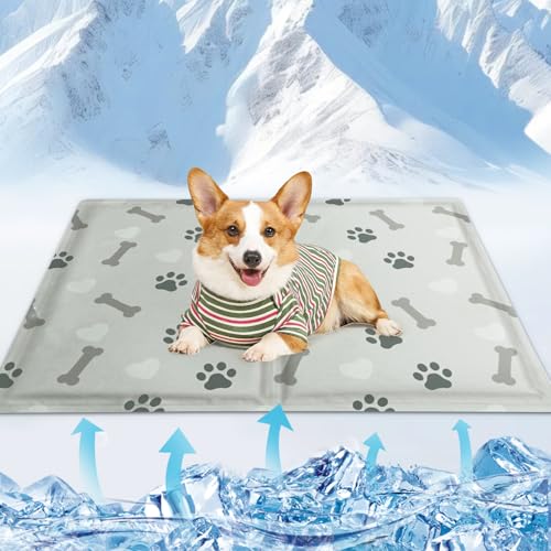 Kühlmatte hund,40*50cm Kühldecke hund,Kühlmatte für hunde,Kühlmatte katze mit gel,Dog cooling mat wasser einspritzung,Kühlmatte hunde geeigne für Kätzchen und Welpen für Innen und Außenbereich(Grau) von FFTANXS