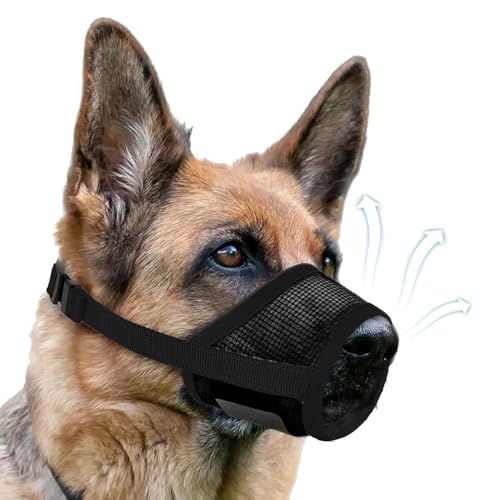 FFWTPY Baumwolle Maulkorb Für Hunde Verstellbare Schlaufe Atmungsaktiv Verhindert Reflektierendes Band das Beißen, Kauen Und Bellen Für Kleine Mittel Große Hunde M FFWTPY Baumwolle Maulkorb Für Hunde Verstellbare Schlaufe Atmungsaktiv Verhindert Reflektierendes Band das Beißen, Kauen Und Bellen Für Kleine Mittel Große Hunde M von FFWTPY