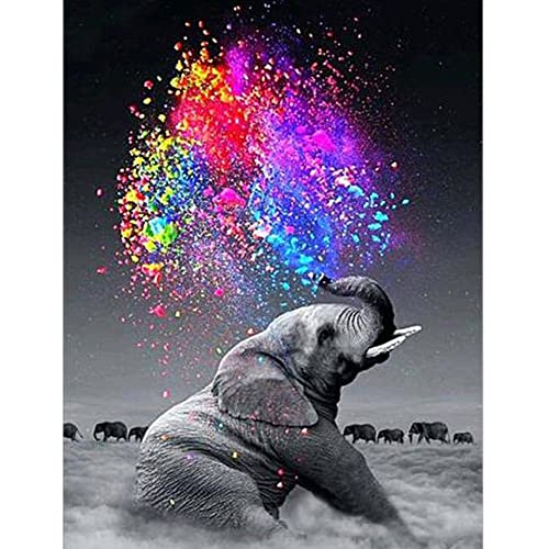 FFWTPY DIY 5D Diamond Painting Tiere Diamant Painting Bilder Malerei Kit für Kinder Erwachsene Vollbohrer Cross Stickerei Arts Craft Diamanten Dekoration für Home Wand Décor von FFWTPY