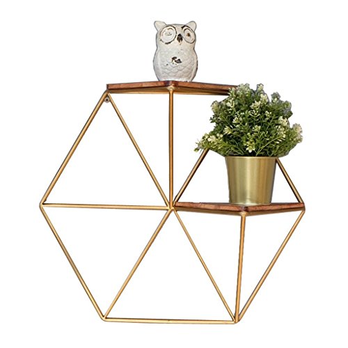 Wandmontiertes rundes Regal Rohrregal Wandregal Gold Eisenrahmen Metall Trennwand Wandhalterung Polygon Dekoratives Regal für Bonsai Bücher Fotos Andenken Wandmontiertes rundes Regal Rohrregal Wandregal Gold Eisenrahmen Metall Trennwand Wandhalterung Polygon Dekoratives Regal für Bonsai Bücher Fotos Andenken von FGFTHJBJNBDKFVFNVJNFBNVJG