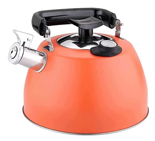 FGHSKIZ Wasserkocher, mit Thermometer 304 Küche Wassertemperatur Wasserkocher Teekanne(Black) von FGHSKIZ
