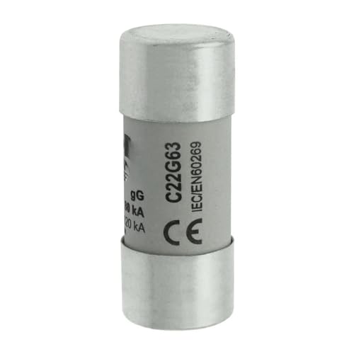 FGRDMUKP C22G32 C22G40 C22G50 C22G63 C22G80 C22G100 C22G125 Sicherung(C22G63) von FGRDMUKP