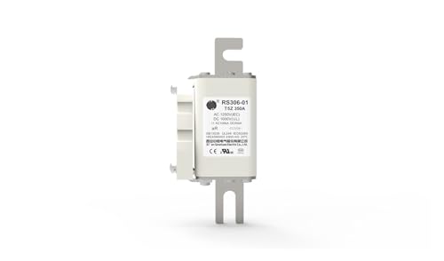 RS306-01-T5Z-350A1250V SicherungT5Z S5P(315A) von FGRDMUKP