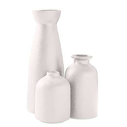 FGUUTYM Keramikvasen-Set Dekoration Haushalt Wohnzimmer Blumenschmuck Moderner Blumenapparat Dreiteiliges Set Weiße Vasendekoration Ring Kranz Blumen (White, One Size) von FGUUTYM