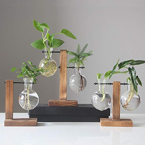 FGYZYP Glas-Pflanzgefäß, Hydrokultur-Zwiebel-Vase, Desktop-Luftpflanzen-Terrarium mit Retro-Holzständer und Metall-Drehhalterung, Wasseranzuchtstation für Hydrokultur, Zuhause, Garten, Büro, von FGYZYP