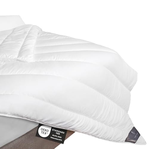 FAM Home Bettdecke 240x260 Weiche Mikrofaser Waschbar Ganzjährig I Zudecke Antiallergisch für Allergiker I Gesteppte Steppdecke von FH FAM' HOME HOME COSINESS