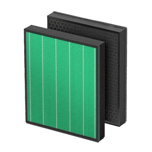 Kompatibel Mit Coway, Kompatibel Mit Airmega, 300/300S Luftreiniger AP-1019C Ersatz-HEPA-Filter Und Aktivkohlefilter(2pcs) von FHBNNYRPH