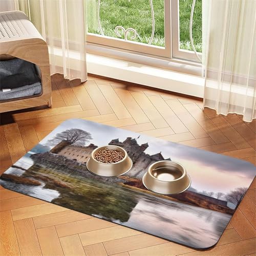 Castle Near Lake Stones Haustier-Futtermatte, 40 x 60 cm, saugfähige Hundematte für Futter- und Wassernapf, PU-Leder, Katzenfuttermatte, wasserdicht, schnell trocknend, Haustier-Platzsets, keine von FHEBNDS