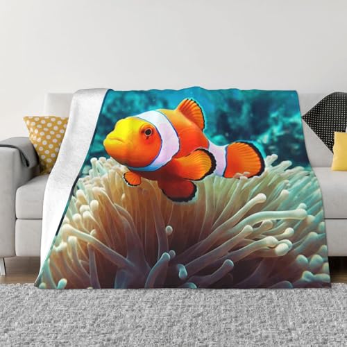 Clownfischdecke und Überwürfe, ultraweich, Mikrofleece, Überwurf, leicht, Flanell, Klimaanlage, Decken, für alle Jahreszeiten, warme Plüsch-Bettdecken für Sofa, Couch, 203,2 x 152,4 cm Clownfischdecke und Überwürfe, ultraweich, Mikrofleece, Überwurf, leicht, Flanell, Klimaanlage, Decken, für alle Jahreszeiten, warme Plüsch-Bettdecken für Sofa, Couch, 203,2 x 152,4 cm von FHEBNDS