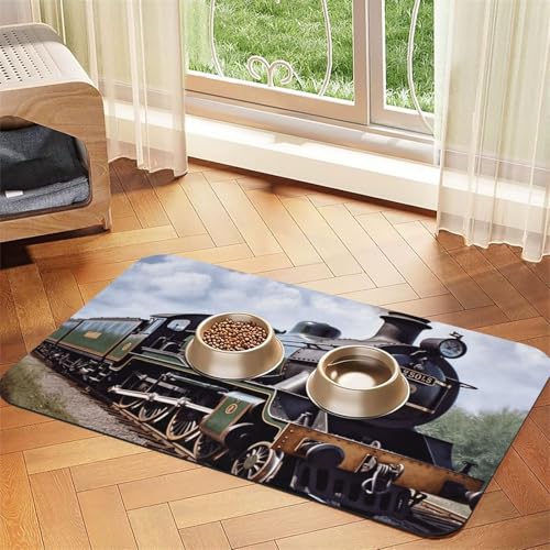 Dampflokomotive Zug Haustier Futtermatte 30 x 45 cm, saugfähige Hundematte für Futter und Wassernapf, PU-Leder Katzenfuttermatte, wasserdichte Hundenapf-Matten, schnell trocknend, Haustier-Platzsets von FHEBNDS
