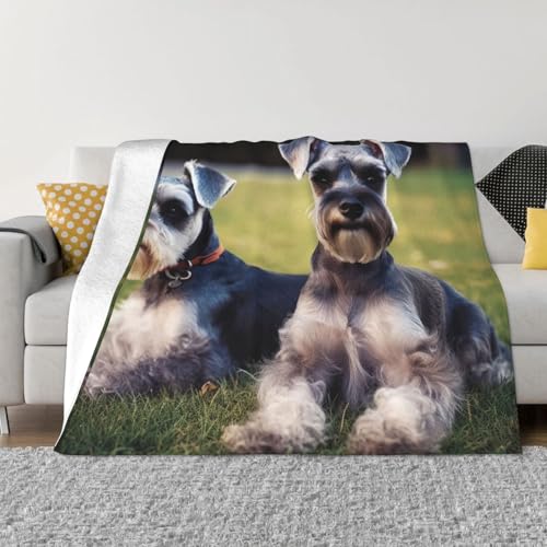 Decke und Überwürfe für Erwachsene, Schnauzer-Hunde, ultraweich, Mikrofleece, Überwurf, leicht, Flanell, Klimaanlage, Decken, für alle Jahreszeiten, warme Plüsch-Bettdecken für Sofa, Couch, 127 x Decke und Überwürfe für Erwachsene, Schnauzer-Hunde, ultraweich, Mikrofleece, Überwurf, leicht, Flanell, Klimaanlage, Decken, für alle Jahreszeiten, warme Plüsch-Bettdecken für Sofa, Couch, 127 x von FHEBNDS