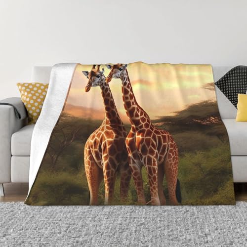 Decke und Überwürfe für Paare, ultraweich, Mikrofleece, Überwurf, leicht, Flanell, Klimaanlage, Decken, für alle Jahreszeiten, warme Plüsch-Bettdecken für Sofa, Couch, 101,6 x 76,2 cm Decke und Überwürfe für Paare, ultraweich, Mikrofleece, Überwurf, leicht, Flanell, Klimaanlage, Decken, für alle Jahreszeiten, warme Plüsch-Bettdecken für Sofa, Couch, 101,6 x 76,2 cm von FHEBNDS