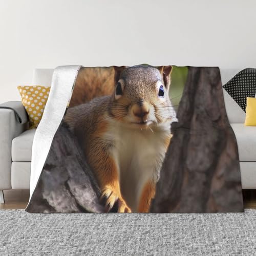 Decke und Überwürfe mit Eichhörnchen im Baum, ultraweich, Mikrofleece, leicht, Flanell, Klimaanlage, Decken, für alle Jahreszeiten, warme Plüsch-Bettdecken für Sofa, Couch, 152,4 x 127 cm Decke und Überwürfe mit Eichhörnchen im Baum, ultraweich, Mikrofleece, leicht, Flanell, Klimaanlage, Decken, für alle Jahreszeiten, warme Plüsch-Bettdecken für Sofa, Couch, 152,4 x 127 cm von FHEBNDS