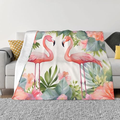 Decke und Überwürfe mit Flamingos und Blumen, ultraweich, Mikrofleece, leicht, Flanell, Klimaanlage, Decken, für alle Jahreszeiten, warme Plüsch-Bettdecken für Sofa, Couch, 152,4 x 127 cm Decke und Überwürfe mit Flamingos und Blumen, ultraweich, Mikrofleece, leicht, Flanell, Klimaanlage, Decken, für alle Jahreszeiten, warme Plüsch-Bettdecken für Sofa, Couch, 152,4 x 127 cm von FHEBNDS