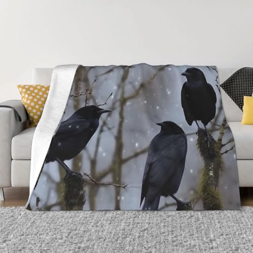 Decke und Überwürfe mit Krähenvögeln, ultraweich, Mikrofleece, leicht, Flanell, Klimaanlage, Decken, für alle Jahreszeiten, warme Plüsch-Bettdecken für Sofa, Couch, 203,2 x 152,4 cm, Schwarz Decke und Überwürfe mit Krähenvögeln, ultraweich, Mikrofleece, leicht, Flanell, Klimaanlage, Decken, für alle Jahreszeiten, warme Plüsch-Bettdecken für Sofa, Couch, 203,2 x 152,4 cm, Schwarz von FHEBNDS
