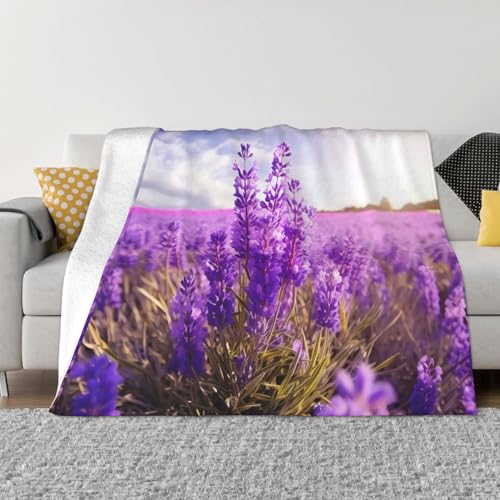 Decke und Überwürfe mit Lavendelblüten, ultraweich, Mikrofleece, leicht, Flanell, Klimaanlage, Decken, für alle Jahreszeiten, warme Plüsch-Bettdecken für Sofa, Couch, 152,4 x 127 cm Decke und Überwürfe mit Lavendelblüten, ultraweich, Mikrofleece, leicht, Flanell, Klimaanlage, Decken, für alle Jahreszeiten, warme Plüsch-Bettdecken für Sofa, Couch, 152,4 x 127 cm von FHEBNDS