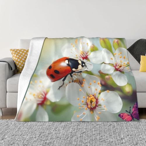Decke und Überwürfe mit Schmetterlingsmarienkäfer-Blume, ultraweich, Mikrofleece, leicht, Flanell, Klimaanlage, Decken, für alle Jahreszeiten, warme Plüsch-Bettdecken für Sofa, Couch, 203,2 x 152,4 cm Decke und Überwürfe mit Schmetterlingsmarienkäfer-Blume, ultraweich, Mikrofleece, leicht, Flanell, Klimaanlage, Decken, für alle Jahreszeiten, warme Plüsch-Bettdecken für Sofa, Couch, 203,2 x 152,4 cm von FHEBNDS