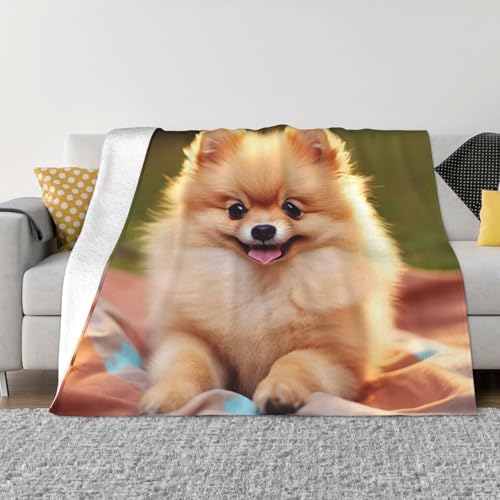 Kurzhaarige Pomeranian Decke und Überwürfe, ultraweiches Mikrofleece, Überwurfdecke, leicht, Flanell, Klimaanlage, Decken, für alle Jahreszeiten, warme Plüsch-Bettdecken für Sofa, Couch, 101,6 x 76,2 von FHEBNDS