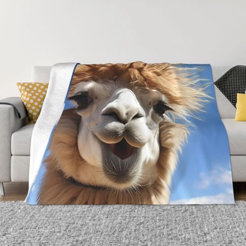 Lustige Alpaka-Lama-Decke und Überwürfe, ultraweiches Mikrofleece, Überwurf, Decke, leicht, Flanell, Klimaanlage, Decken, für alle Jahreszeiten, warme Plüsch-Bettdecken für Sofa, Couch, 101,6 x 76,2 Lustige Alpaka-Lama-Decke und Überwürfe, ultraweiches Mikrofleece, Überwurf, Decke, leicht, Flanell, Klimaanlage, Decken, für alle Jahreszeiten, warme Plüsch-Bettdecken für Sofa, Couch, 101,6 x 76,2 von FHEBNDS