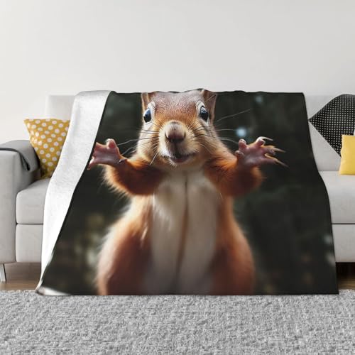 Lustige Eichhörnchen-Tierdecke und Überwürfe, ultraweich, Mikrofleece, Überwurf, Decke, leicht, Flanell, Klimaanlage, Decken, für alle Jahreszeiten, warme Plüsch-Bettdecken für Sofa, Couch, 127 x Lustige Eichhörnchen-Tierdecke und Überwürfe, ultraweich, Mikrofleece, Überwurf, Decke, leicht, Flanell, Klimaanlage, Decken, für alle Jahreszeiten, warme Plüsch-Bettdecken für Sofa, Couch, 127 x von FHEBNDS