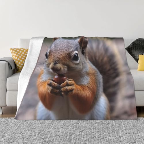 Niedliche Eichhörnchen-Decke und Überwürfe, ultraweich, Mikrofleece, Überwurf, leicht, Flanell, Klimaanlage, Decken, für alle Jahreszeiten, warme Plüsch-Bettdecken für Sofa, Couch, 101,6 x 76,2 cm Niedliche Eichhörnchen-Decke und Überwürfe, ultraweich, Mikrofleece, Überwurf, leicht, Flanell, Klimaanlage, Decken, für alle Jahreszeiten, warme Plüsch-Bettdecken für Sofa, Couch, 101,6 x 76,2 cm von FHEBNDS