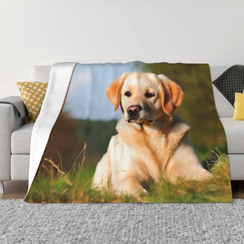 Niedliche Labrador-Hundedecke und Überwürfe, ultraweich, Mikrofleece, Überwurf, Decke, leicht, Flanell, Klimaanlage, Decken, für alle Jahreszeiten, warme Plüsch-Bettdecken für Sofa, Couch, 101,6 x Niedliche Labrador-Hundedecke und Überwürfe, ultraweich, Mikrofleece, Überwurf, Decke, leicht, Flanell, Klimaanlage, Decken, für alle Jahreszeiten, warme Plüsch-Bettdecken für Sofa, Couch, 101,6 x von FHEBNDS