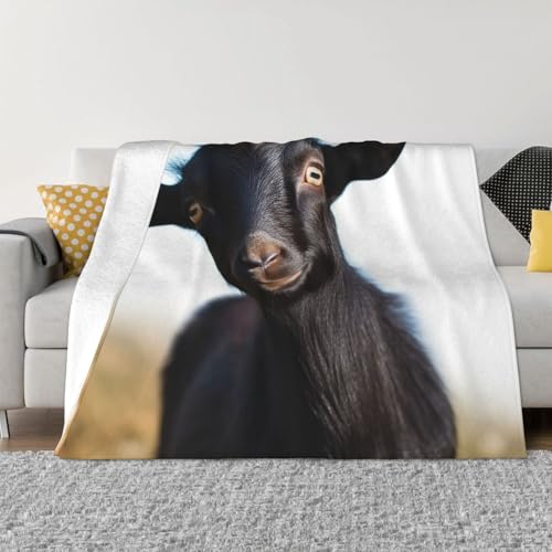 Niedliche schwarze Ziegentierdecke und Überwürfe, ultraweiches Mikrofleece, Überwurf, leicht, Flanell, Klimaanlage, Decken, für alle Jahreszeiten, warme Plüsch-Bettdecken für Sofa, Couch, 152,4 x 127 Niedliche schwarze Ziegentierdecke und Überwürfe, ultraweiches Mikrofleece, Überwurf, leicht, Flanell, Klimaanlage, Decken, für alle Jahreszeiten, warme Plüsch-Bettdecken für Sofa, Couch, 152,4 x 127 von FHEBNDS