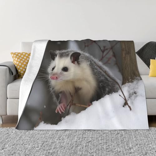 Opossum in Schneedecke und Überwürfen, ultraweich, Mikrofleece, Überwurf, Decke, leicht, Flanell, Klimaanlage, Decken, für alle Jahreszeiten, warme Plüsch-Bettdecken für Sofa, Couch, 152,4 x 127 cm Opossum in Schneedecke und Überwürfen, ultraweich, Mikrofleece, Überwurf, Decke, leicht, Flanell, Klimaanlage, Decken, für alle Jahreszeiten, warme Plüsch-Bettdecken für Sofa, Couch, 152,4 x 127 cm von FHEBNDS