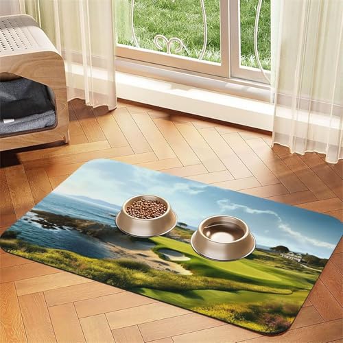 Seaside Golfplatz-Füttermatte, 40 x 60 cm, saugfähige Hundematte für Futter- und Wassernapf, PU-Leder, Katzenfuttermatte, wasserdicht, schnell trocknend, Haustier-Platzsets, keine Flecken von FHEBNDS