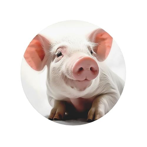 Smiling Fridge Magnets Mini Strong Refrigerator Magnet for Home Kitchen Office Decor, Magnetic Decorative Magnet Stickers Housewarming Gifts for Women Man von FHEBNDS