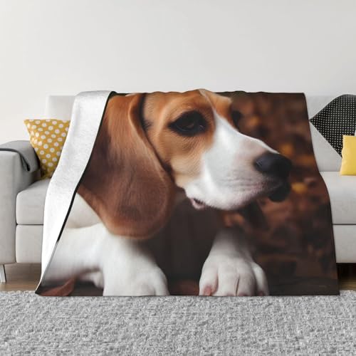 Süße Beagle-Decke und Überwürfe, ultraweich, Mikrofleece, Überwurf, leicht, Flanell, Klimaanlage, Decken, für alle Jahreszeiten, warme Plüsch-Bettdecken für Sofa, Couch, 101,6 x 76,2 cm Süße Beagle-Decke und Überwürfe, ultraweich, Mikrofleece, Überwurf, leicht, Flanell, Klimaanlage, Decken, für alle Jahreszeiten, warme Plüsch-Bettdecken für Sofa, Couch, 101,6 x 76,2 cm von FHEBNDS
