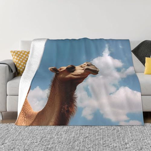 Tierdecke und Überwürfe, ultraweich, Mikrofleece, Überwurf, leicht, Flanell, Klimaanlage, Decken, für alle Jahreszeiten, warme Plüsch-Bettdecken für Sofa, Couch, 203,2 x 152,4 cm Tierdecke und Überwürfe, ultraweich, Mikrofleece, Überwurf, leicht, Flanell, Klimaanlage, Decken, für alle Jahreszeiten, warme Plüsch-Bettdecken für Sofa, Couch, 203,2 x 152,4 cm von FHEBNDS