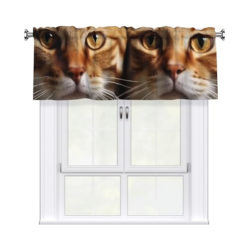 FHEDVBN Vorhang mit Katzenmotiv, für Fenster, Stangentaschen, Fensterbehandlungen, 1 Panel, Verdunkelungsvorhänge, kurze Vorhänge für Küche, Badezimmer, Schlafzimmer, Heimdekoration, 137 x 45 cm FHEDVBN Vorhang mit Katzenmotiv, für Fenster, Stangentaschen, Fensterbehandlungen, 1 Panel, Verdunkelungsvorhänge, kurze Vorhänge für Küche, Badezimmer, Schlafzimmer, Heimdekoration, 137 x 45 cm von FHEDVBN