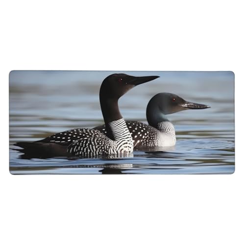 Großes Gaming-Mauspad, 90 x 40 cm, Loon Birds Schreibtischunterlage XXL, genähter Rand, rutschfestes Mauspad, erweiterte Tastatur, wasserdicht, Computer-Mauspad für Arbeit, Büro, Zuhause von FHEDVBN