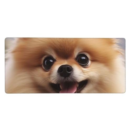 Großes Gaming-Mauspad, 90 x 40 cm, niedlicher Pomeranian Schreibtischunterlage, XXL, genähter Rand, rutschfestes Mauspad, erweiterte Tastatur, wasserdicht, Computer-Mauspad für Arbeit, Büro, Zuhause von FHEDVBN