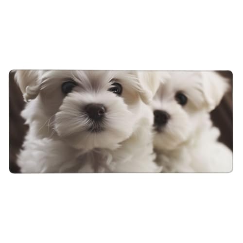 Großes Gaming-Mauspad, 90 x 40 cm, niedlicher maltesischer Welpe, Schreibtischunterlage XXL, genähter Rand, rutschfestes Mauspad, erweiterte Tastatur, wasserdicht, Computer-Mauspad für Arbeit, Büro Großes Gaming-Mauspad, 90 x 40 cm, niedlicher maltesischer Welpe, Schreibtischunterlage XXL, genähter Rand, rutschfestes Mauspad, erweiterte Tastatur, wasserdicht, Computer-Mauspad für Arbeit, Büro von FHEDVBN